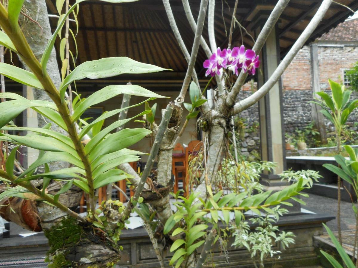 Milla Homestay Сидемен Экстерьер фото
